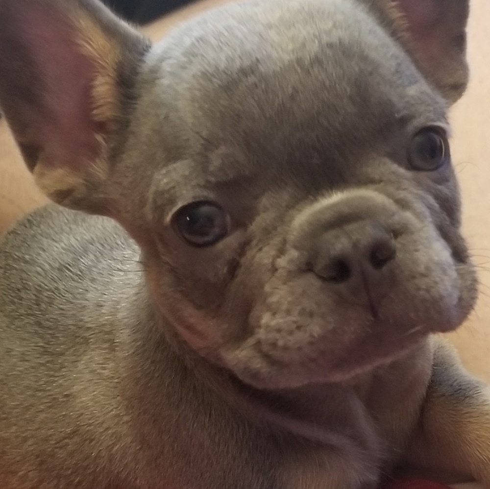 Meet your Posher, Michele